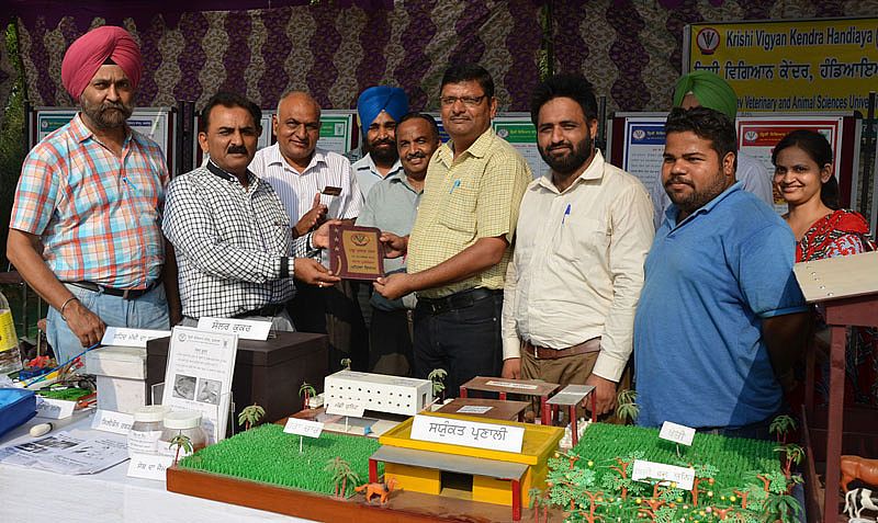 Krishi Vigyan Kendra, Barnala stall got first prize in 21st Pashu Palan Mela